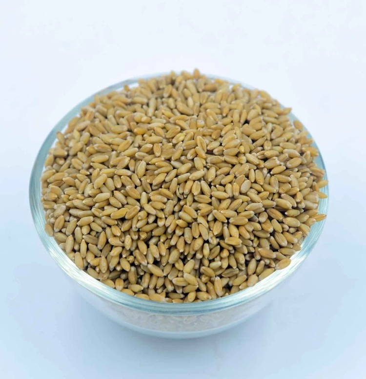 BHOODHAN 32-1LTR X 10 (Invenzo Testing Nagpur)