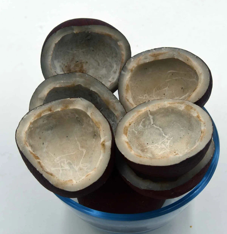 MERA 71-1KG (Invenzo Testing)